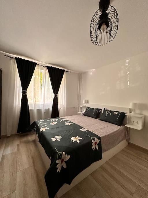 Luna Apartament Apartman Temesvár Kültér fotó